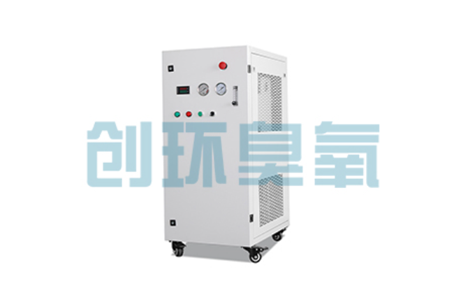 汉中比传统换水更高效?臭氧发生器在石斑鱼养殖中的水质净化原理解析